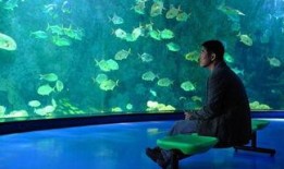 海洋天堂 在线观看